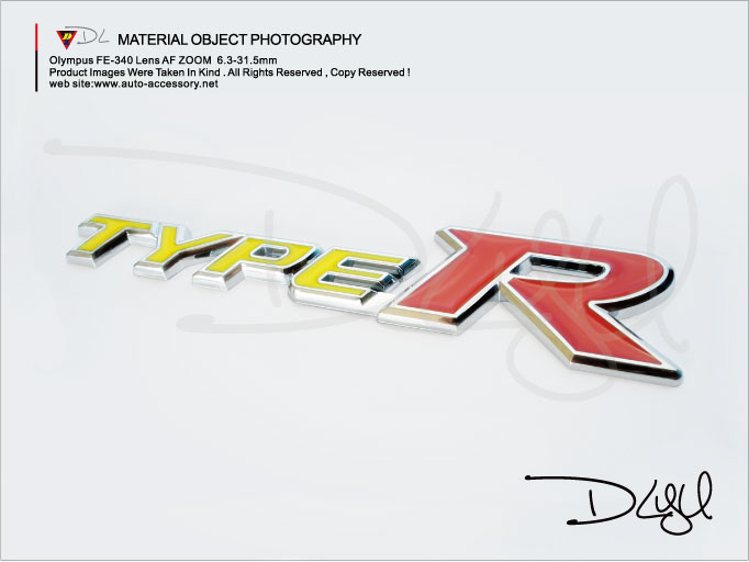 The TYPER DL-LOGO308YR